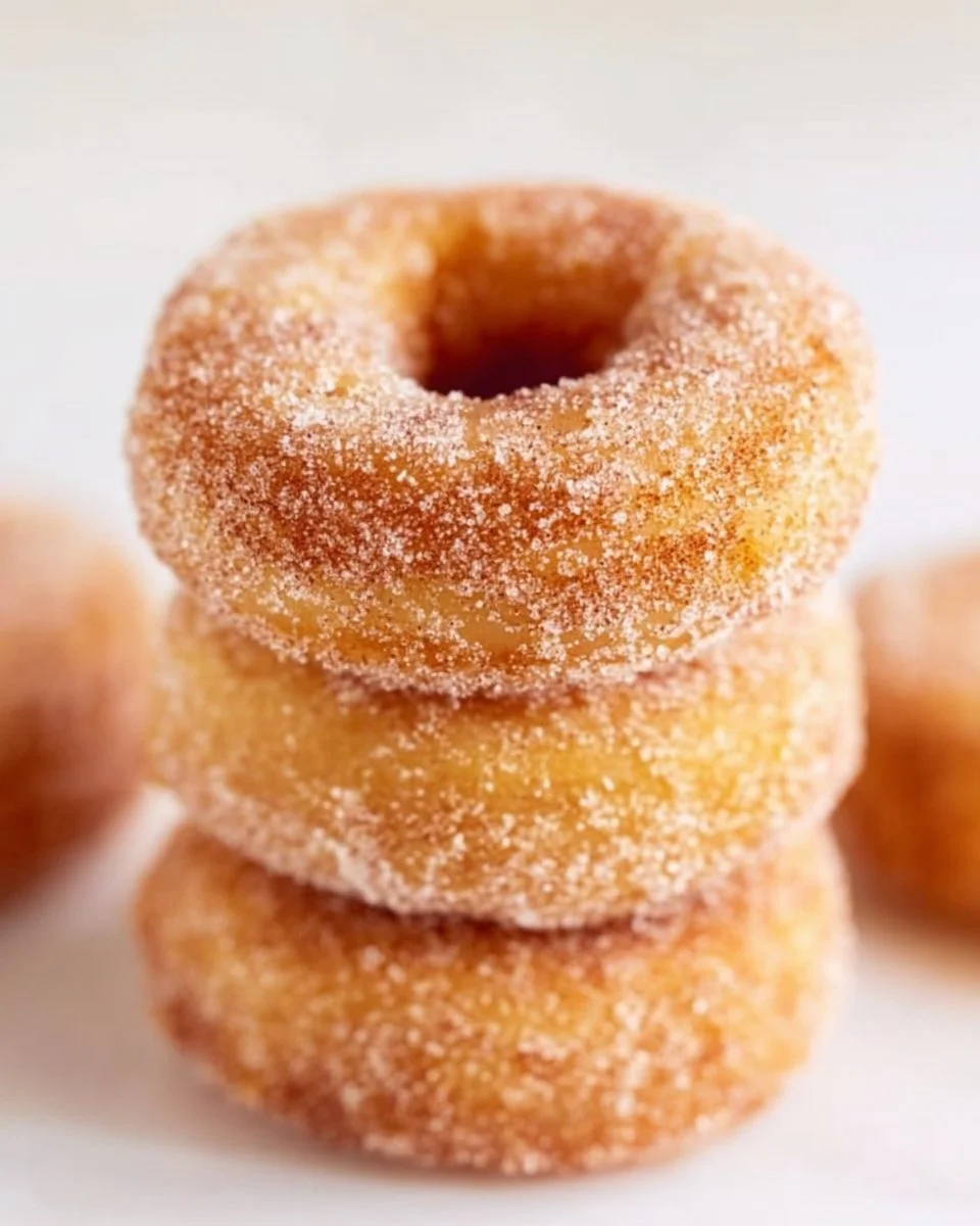 Freshly baked homemade cinnamon sugar donuts on a plate